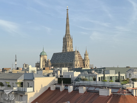Tiled roof of a gothic cathedral above the normal rooftops
