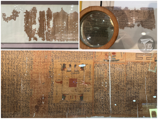 Samples of papyrus from ancient history